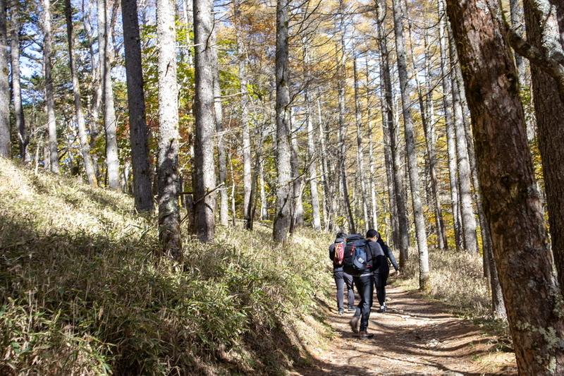 f:id:kabbocha7:20211103111607j:plain