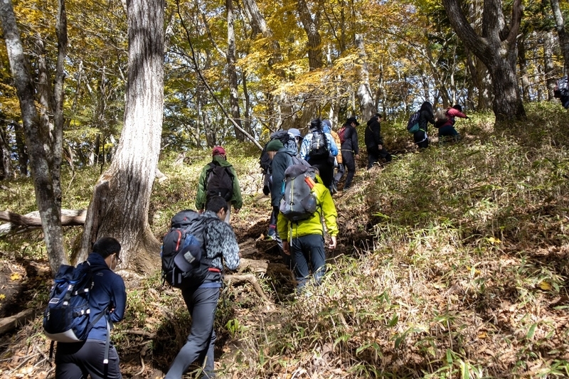 f:id:kabbocha7:20211103111619j:plain