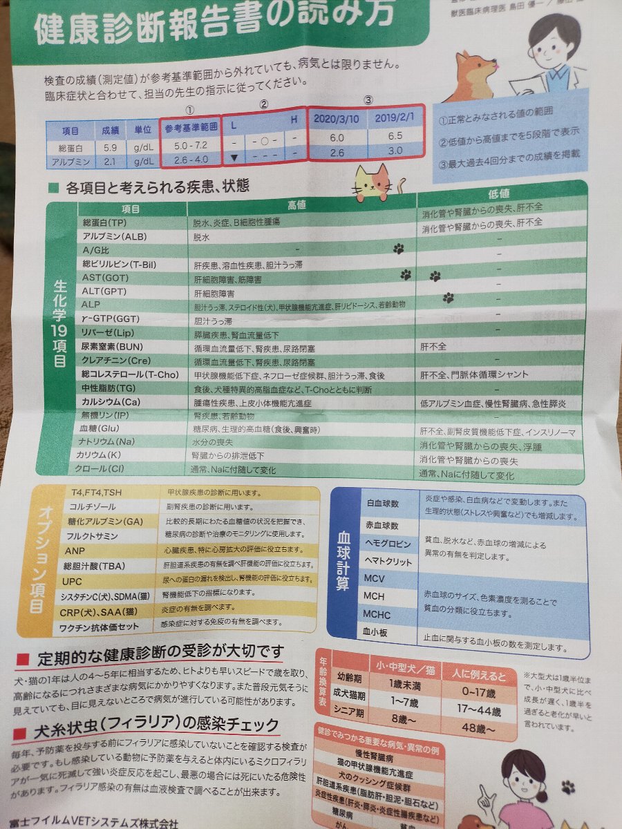 血液検査の各項目の対応する病気などの写真