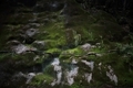 20250716101654