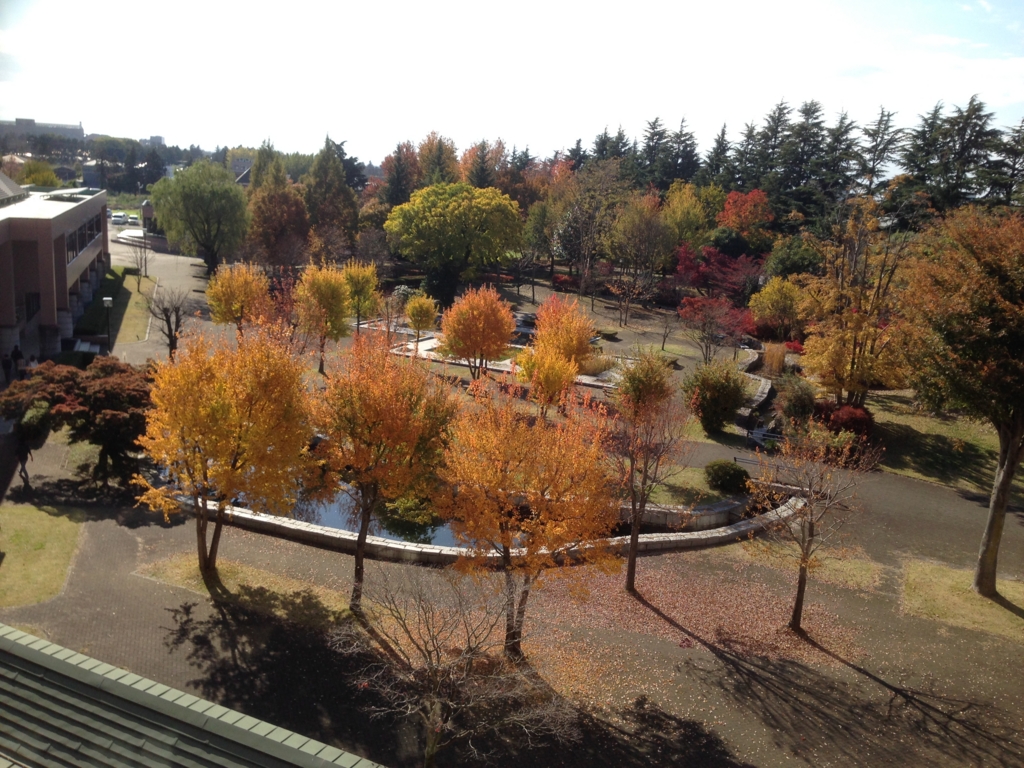 f:id:kabiken:20161116123542j:plain f:id:kabiken:20161116123542j:plain