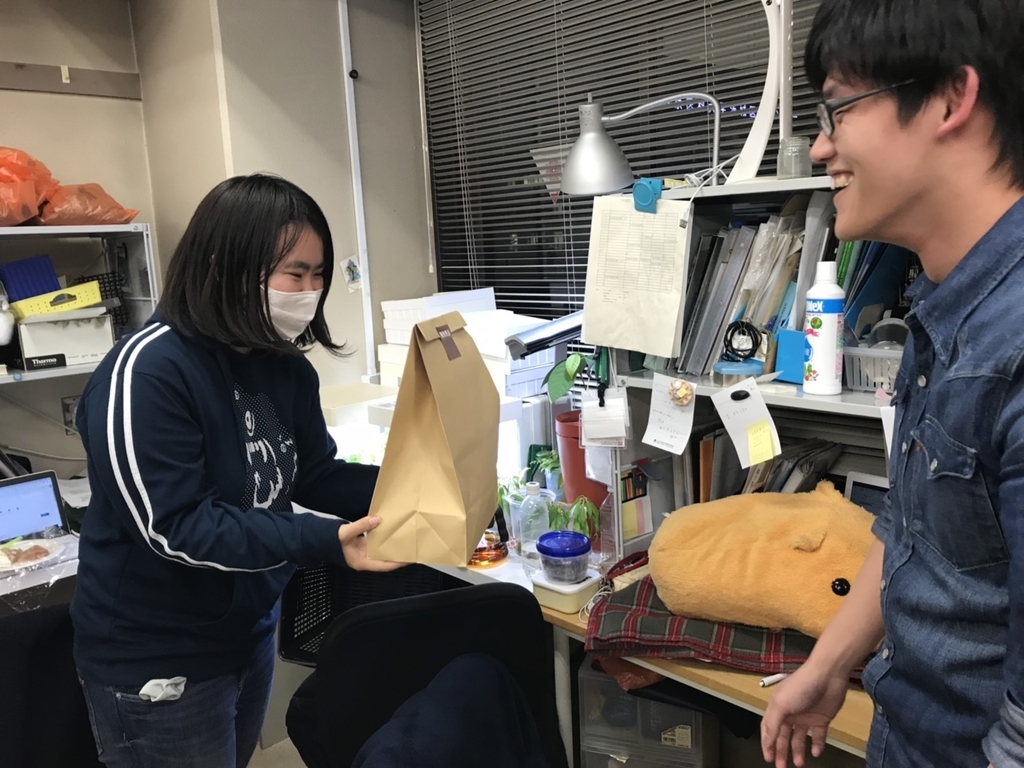 f:id:kabiken:20190129210313j:plain
