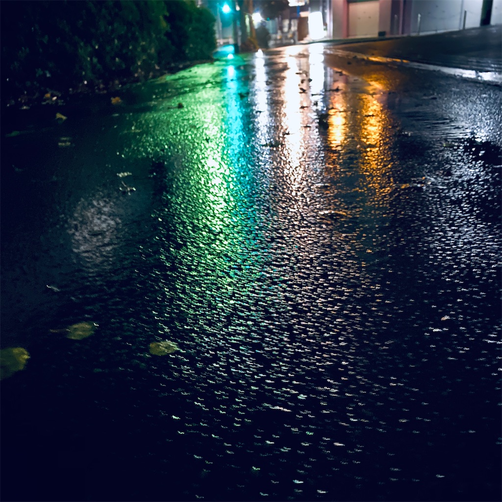 f:id:kabiru8731:20210708201033j:image