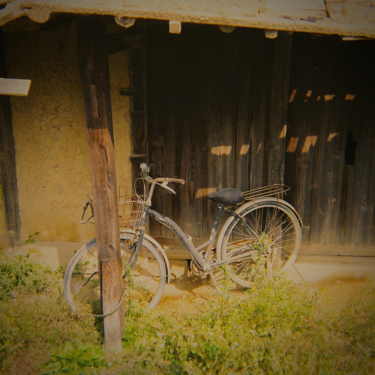 f:id:kabiru8731:20210903230729j:image