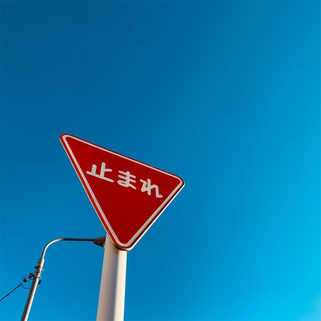 f:id:kabiru8731:20211228003207j:image f:id:kabiru8731:20211228003207j:image