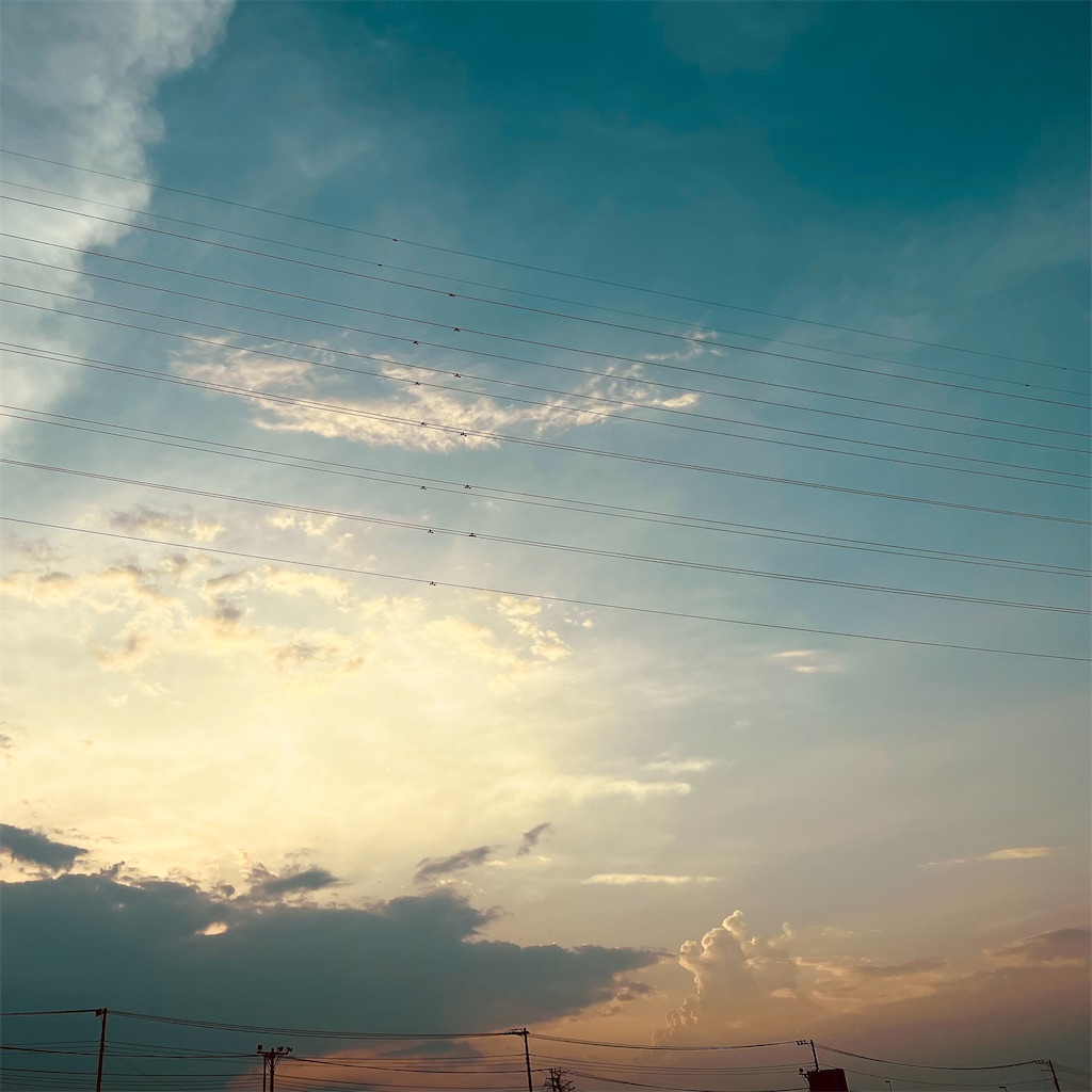 f:id:kabiru8731:20220621054751j:image