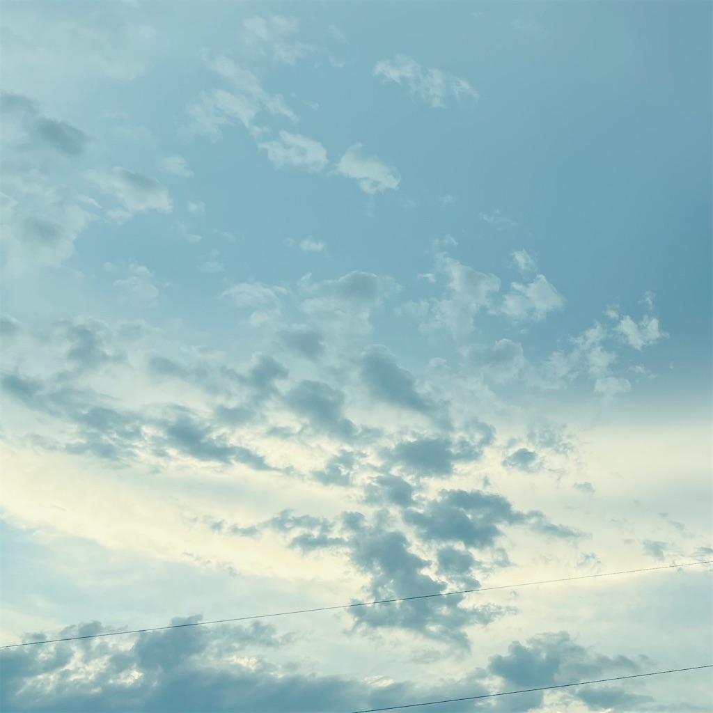 f:id:kabiru8731:20220802042533j:image f:id:kabiru8731:20220802042533j:image