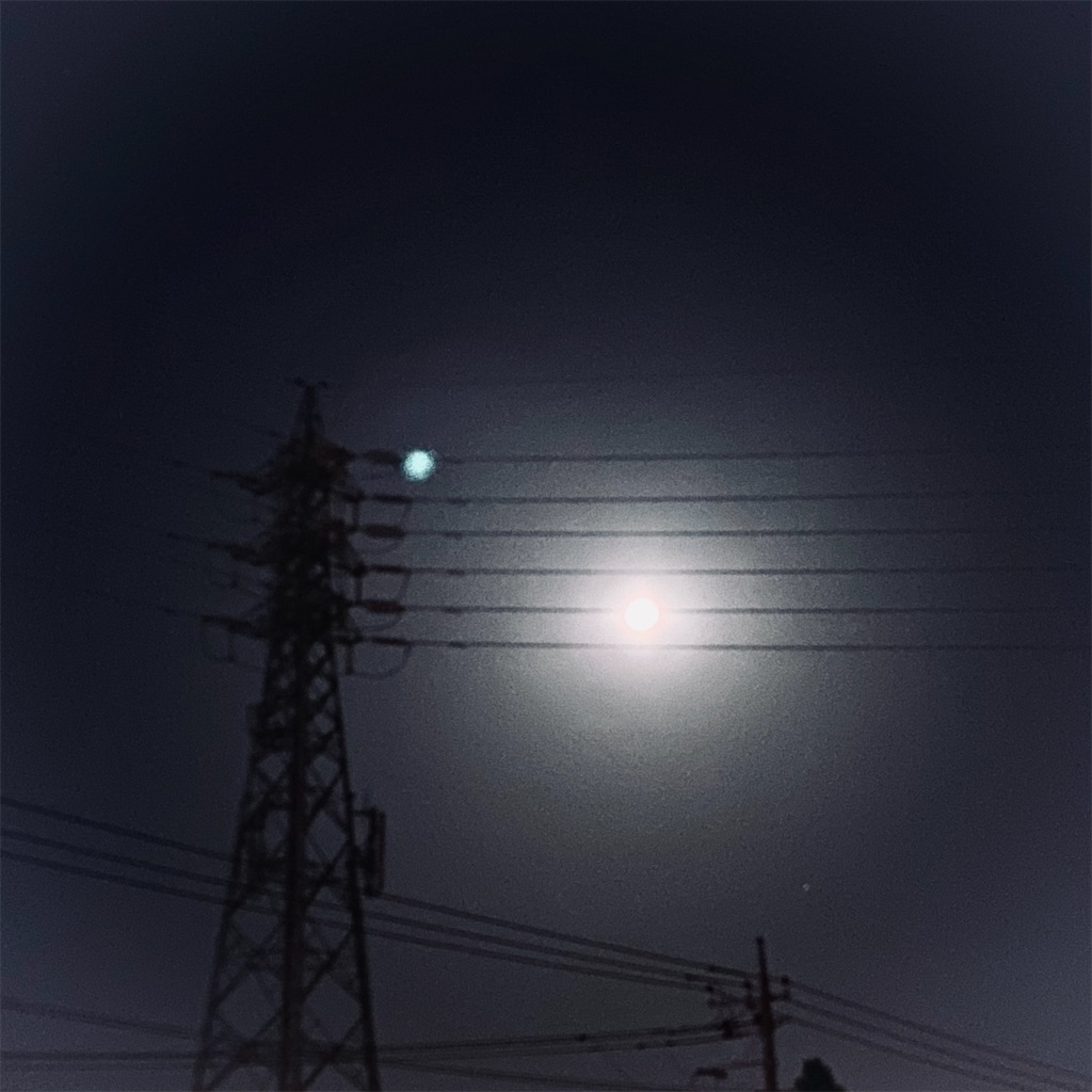 f:id:kabiru8731:20221128071030j:image f:id:kabiru8731:20221128071030j:image