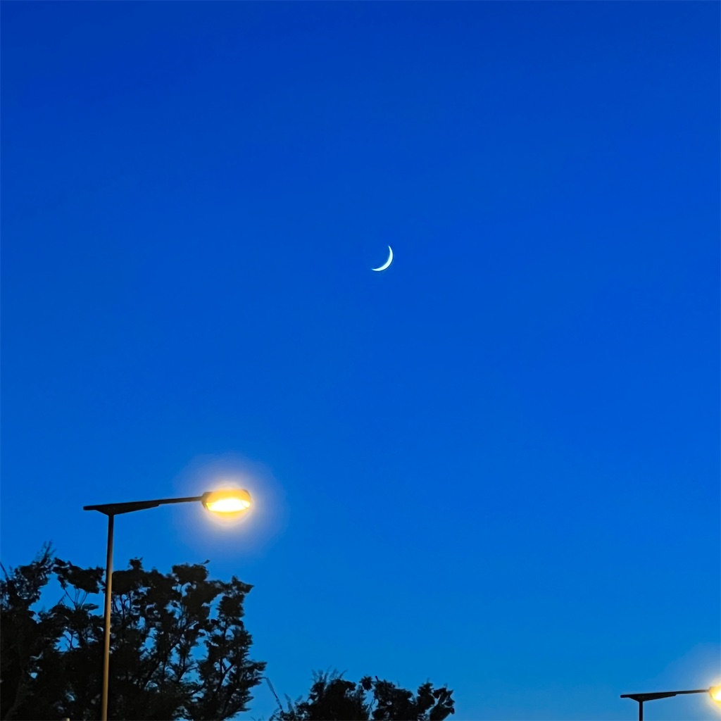 f:id:kabiru8731:20230823221836j:image f:id:kabiru8731:20230823221836j:image