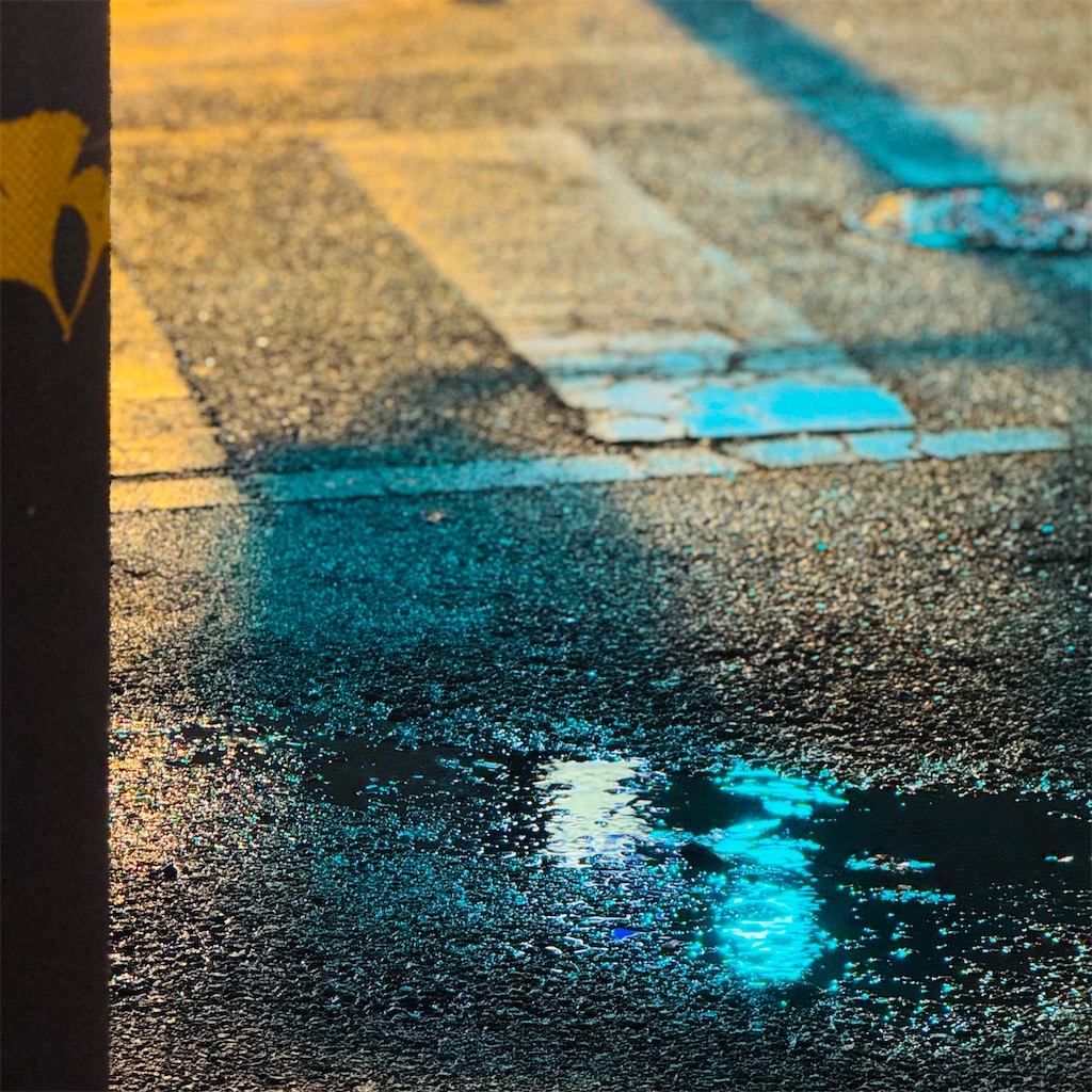 f:id:kabiru8731:20240629060700j:image f:id:kabiru8731:20240629060700j:image