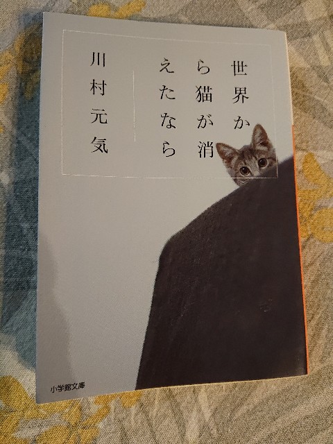 読書感想文 何かを得るためには 何かを失う 世界から猫が消えたなら かぼちゃのトレイル日和