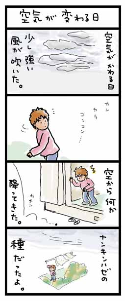 イメージ 4