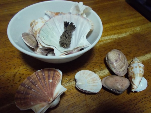f:id:kabosu_onpu:20191203021610j:plain