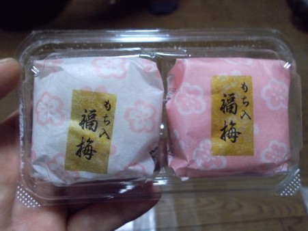 f:id:kabosu_onpu:20200105030629j:plain f:id:kabosu_onpu:20200105030629j:plain