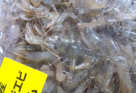 f:id:kabosu_onpu:20200220021122j:plain f:id:kabosu_onpu:20200220021122j:plain