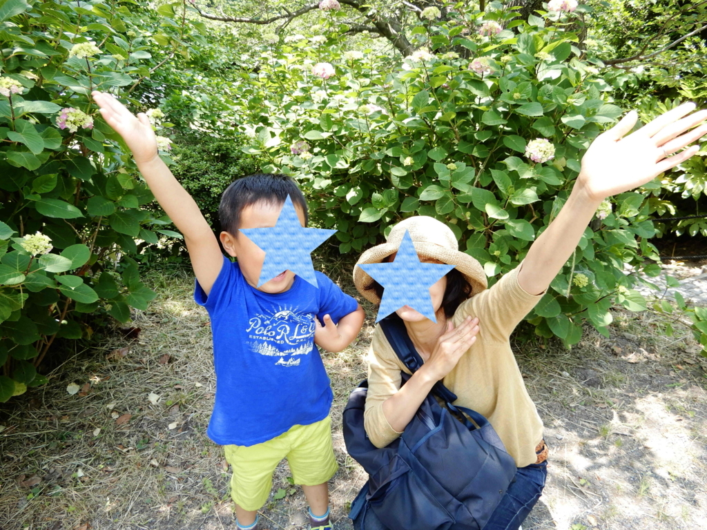 f:id:kabosuchan:20180527223458j:plain f:id:kabosuchan:20180527223458j:plain