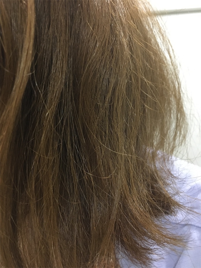 f:id:kabosuneko:20190906184040j:plain f:id:kabosuneko:20190906184040j:plain