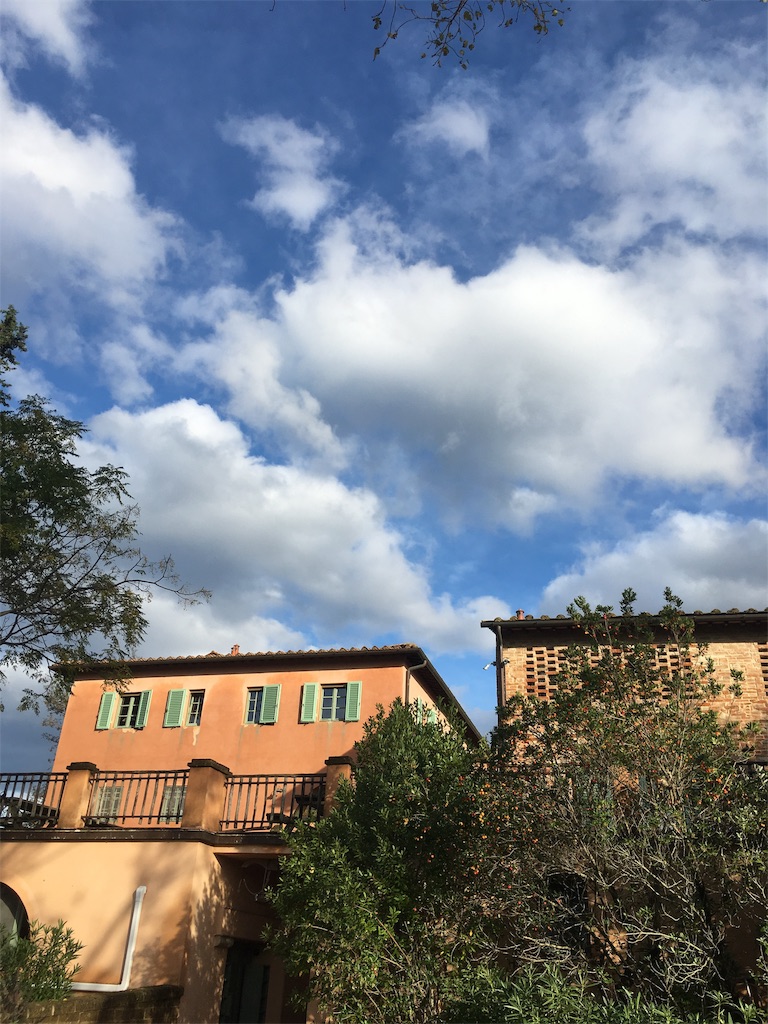 f:id:kabr1218jp:20191117172444j:image