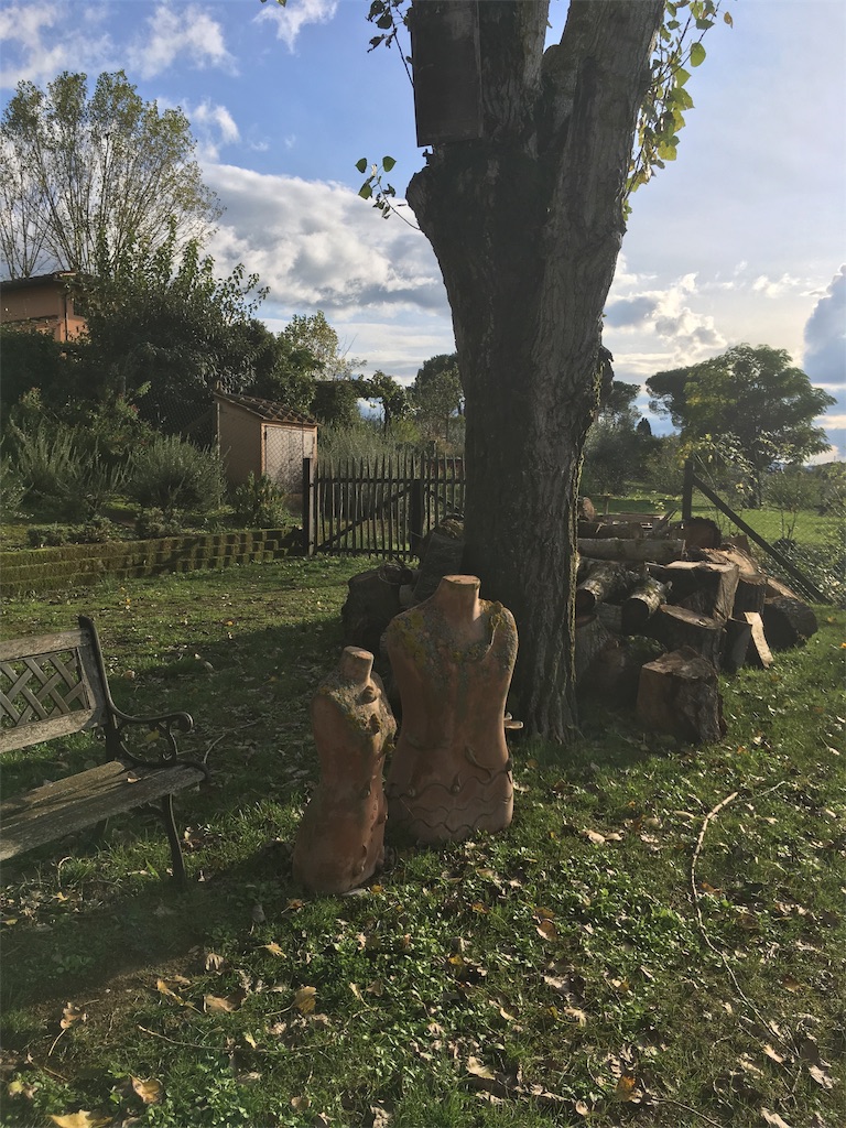 f:id:kabr1218jp:20191117172500j:image