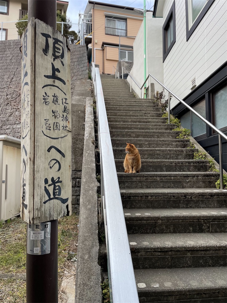 f:id:kabr1218jp:20220124142611j:image f:id:kabr1218jp:20220124142611j:image