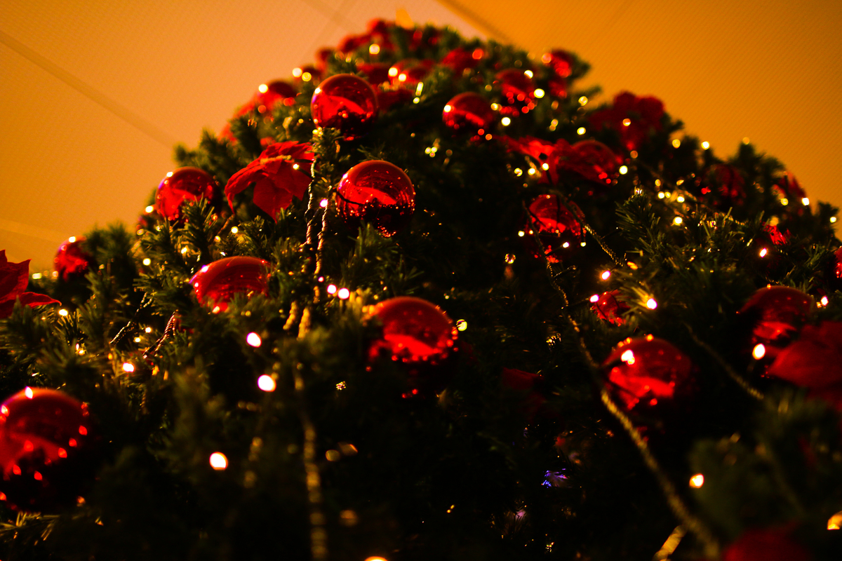 f:id:kabs:20211220220940j:plain