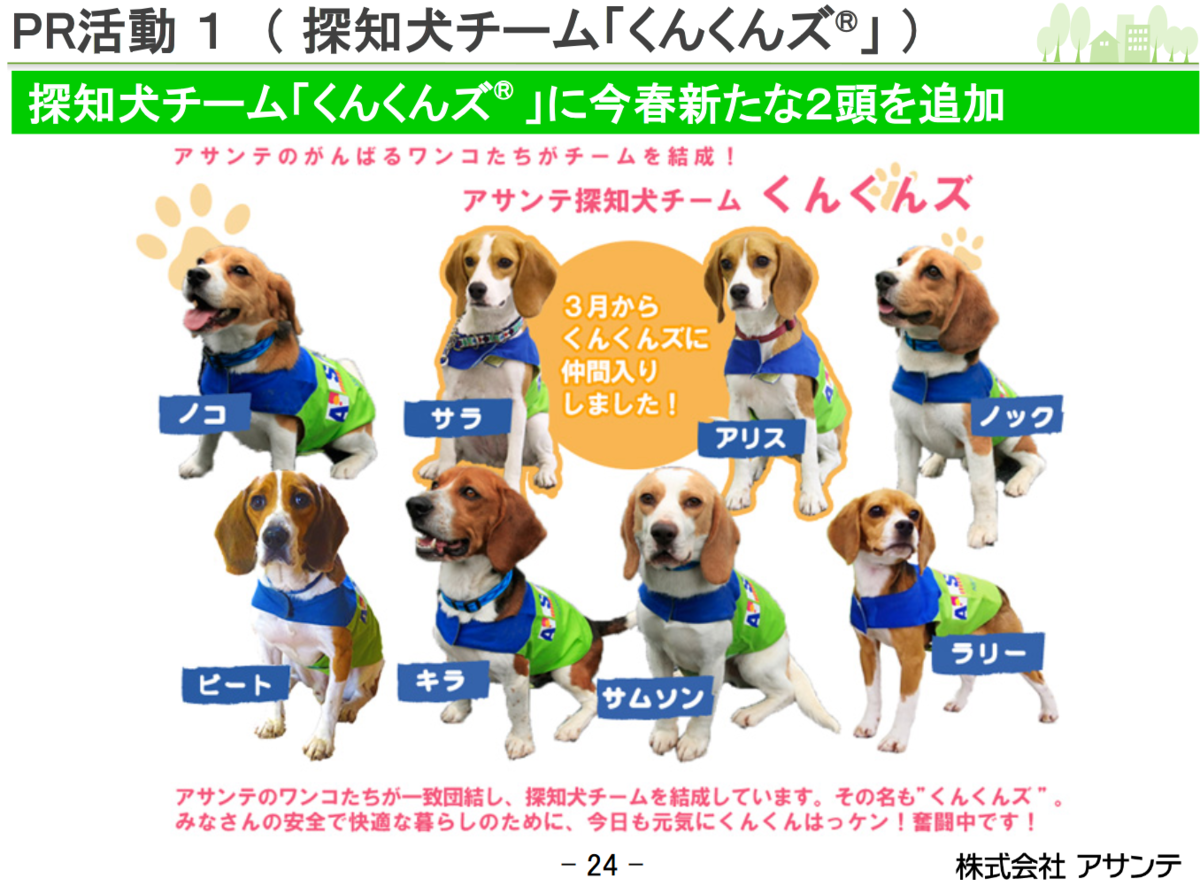 アサンテ シロアリ