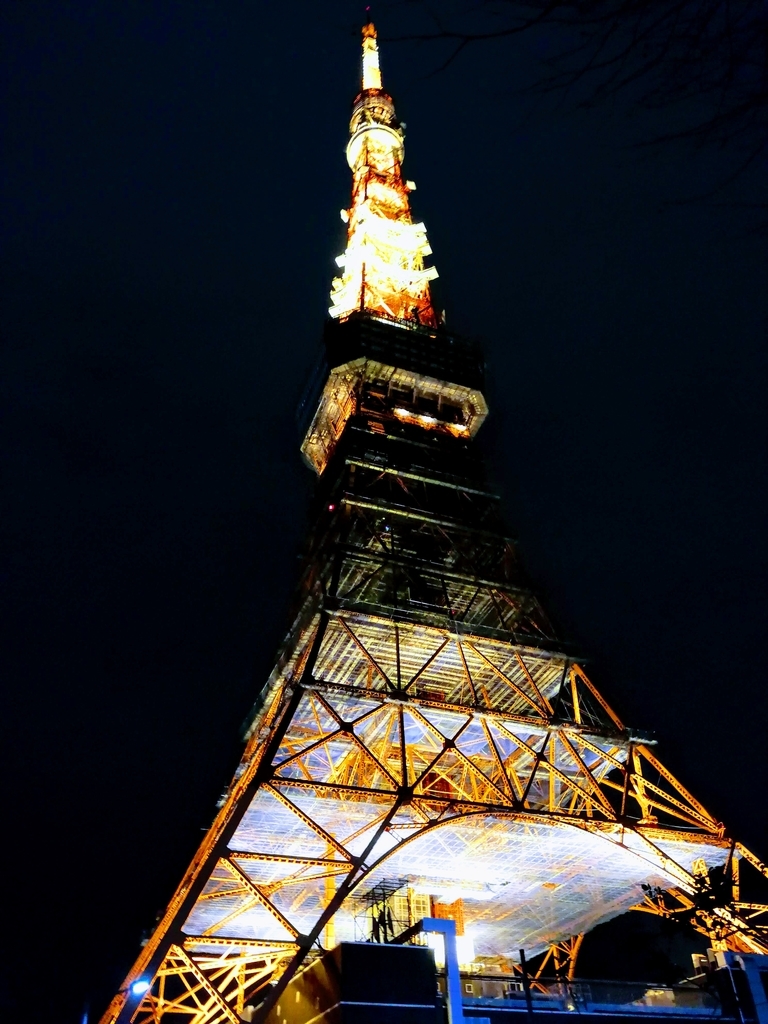 f:id:kabukawa:20190116184251j:plain:h400