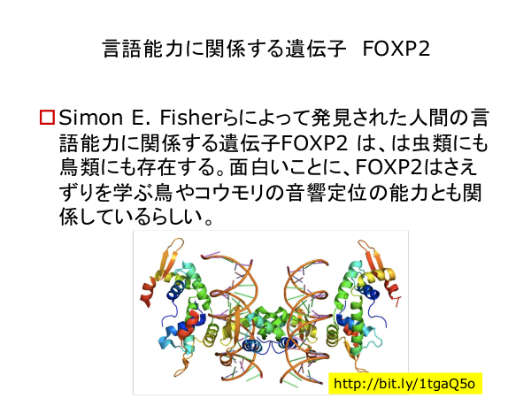 f:id:kabukawa:20190409020928p:plain:w500 f:id:kabukawa:20190409020928p:plain:w500