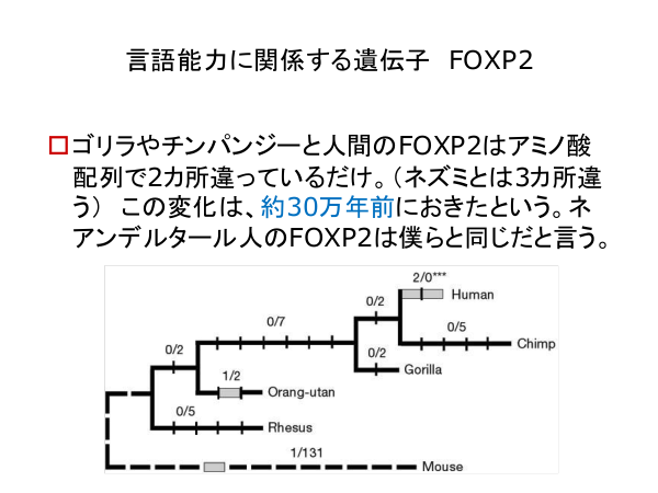 f:id:kabukawa:20190409020958p:plain:w500 f:id:kabukawa:20190409020958p:plain:w500