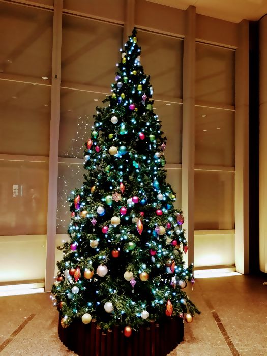 f:id:kabukawa:20191124150701j:plain:h300 f:id:kabukawa:20191124150701j:plain:h300