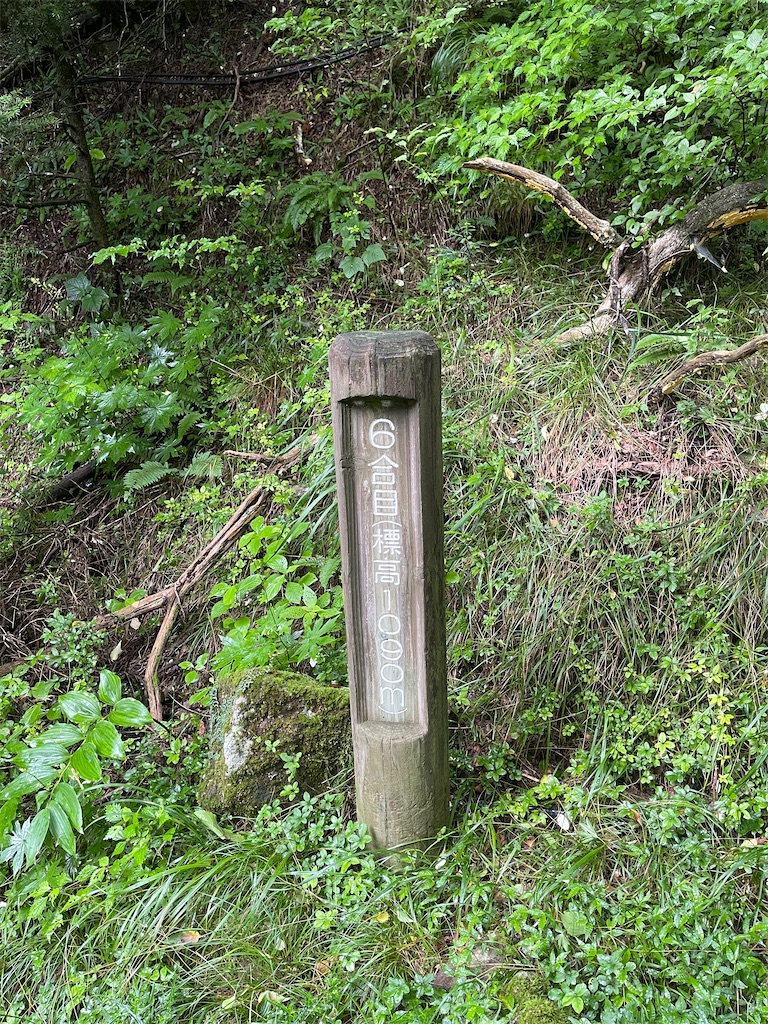 雲仙普賢岳6合目