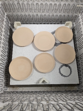 PXL_20230930_032743743.jpg