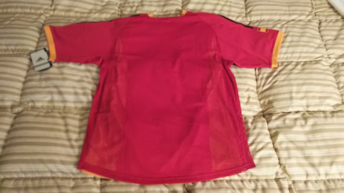 f:id:kaburerasan2014:20190623230648j:plain