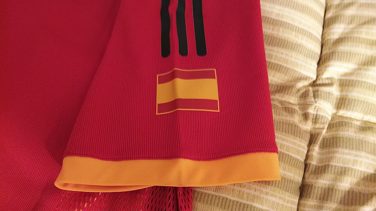 f:id:kaburerasan2014:20190623231331j:plain