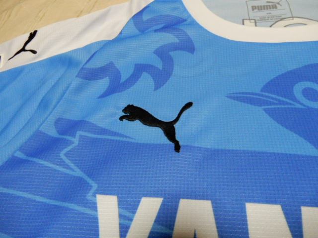 f:id:kaburerasan2014:20190630221248j:plain