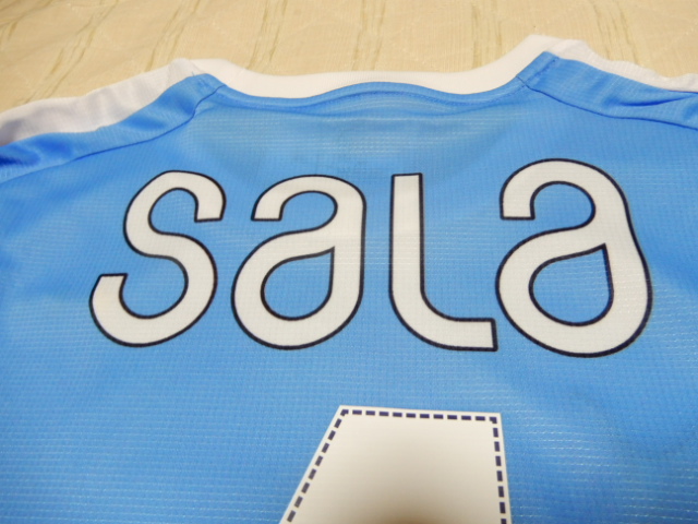 f:id:kaburerasan2014:20190630221419j:plain