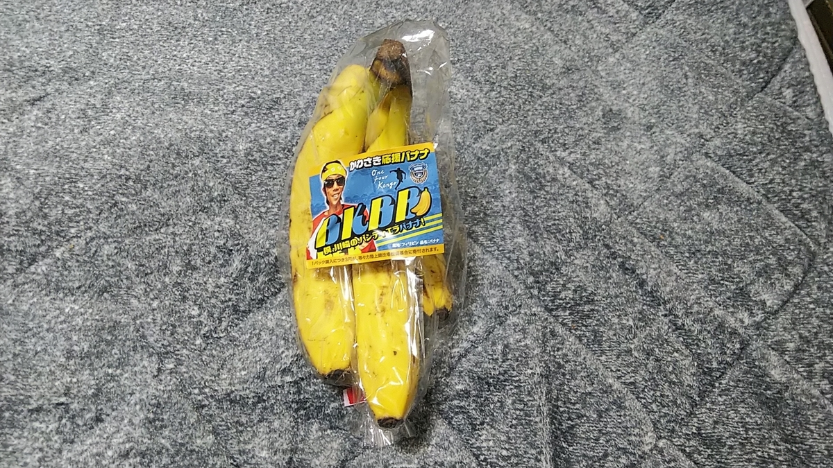 f:id:kaburerasan2014:20201222223000j:plain