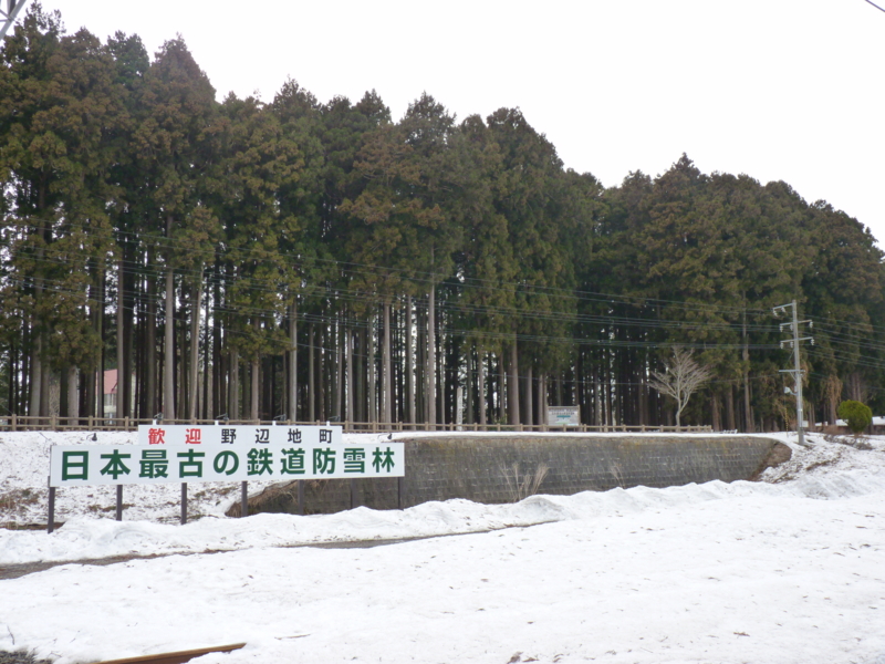 f:id:kaburiman:20130330153010j:image:w600 f:id:kaburiman:20130330153010j:image:w600