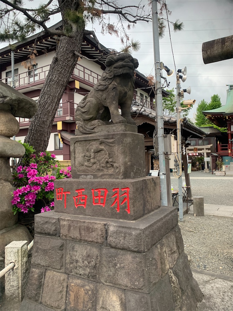 f:id:kabutara:20210416193721j:image f:id:kabutara:20210416193721j:image