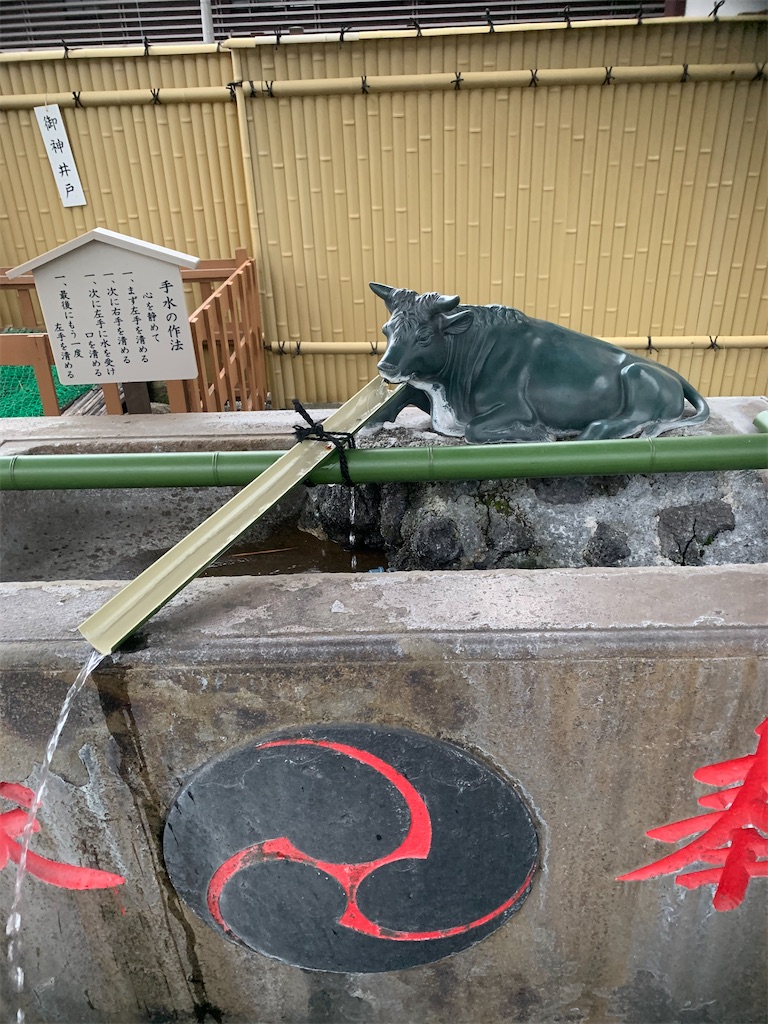 f:id:kabutara:20210416194019j:image f:id:kabutara:20210416194019j:image