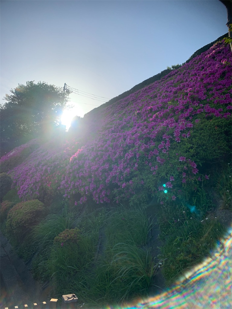 f:id:kabutara:20210423191731j:image