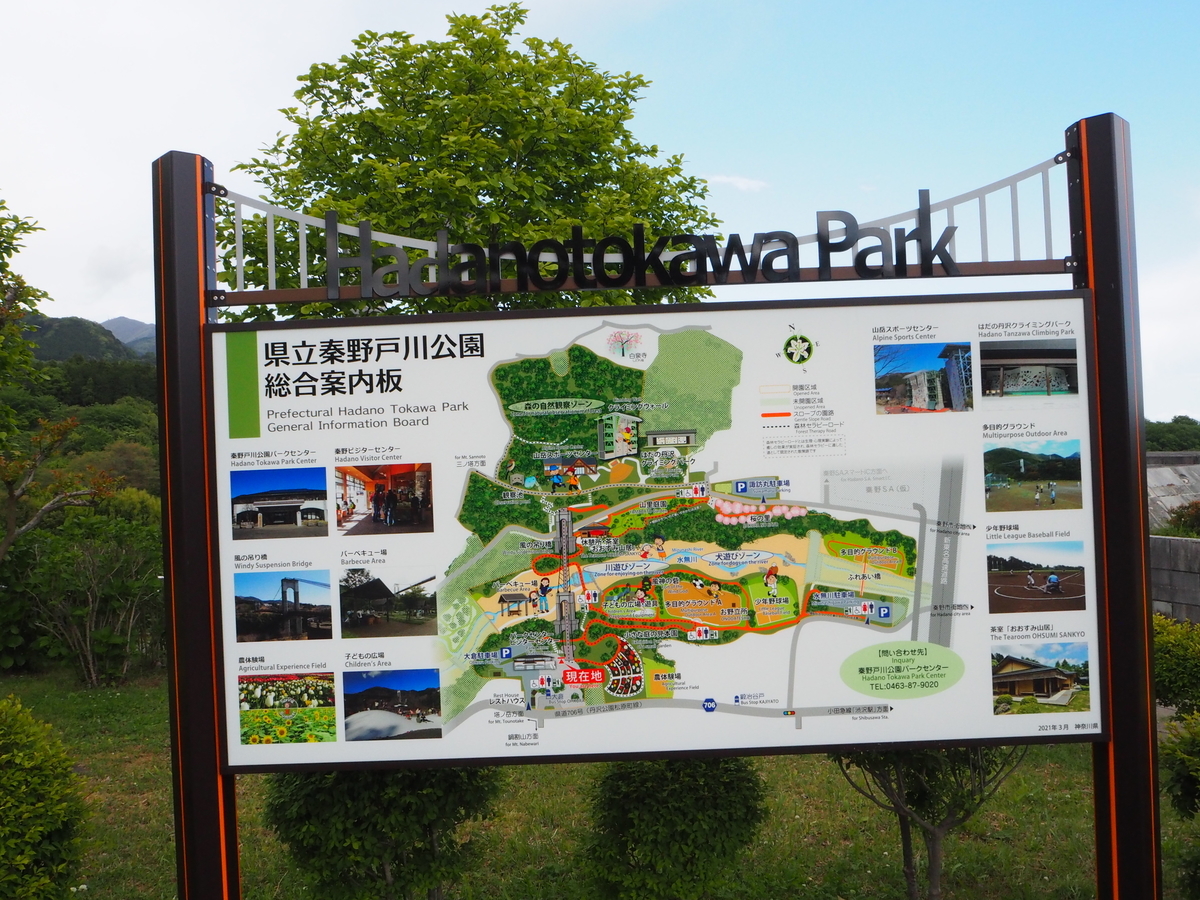 f:id:kabutara:20210503215507j:plain