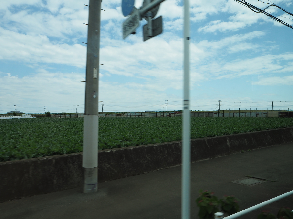 f:id:kabutara:20210516194546j:plain