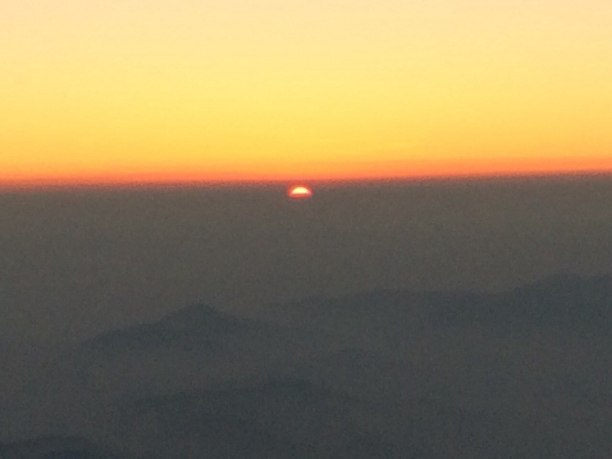 f:id:kabutara:20210619194026j:plain