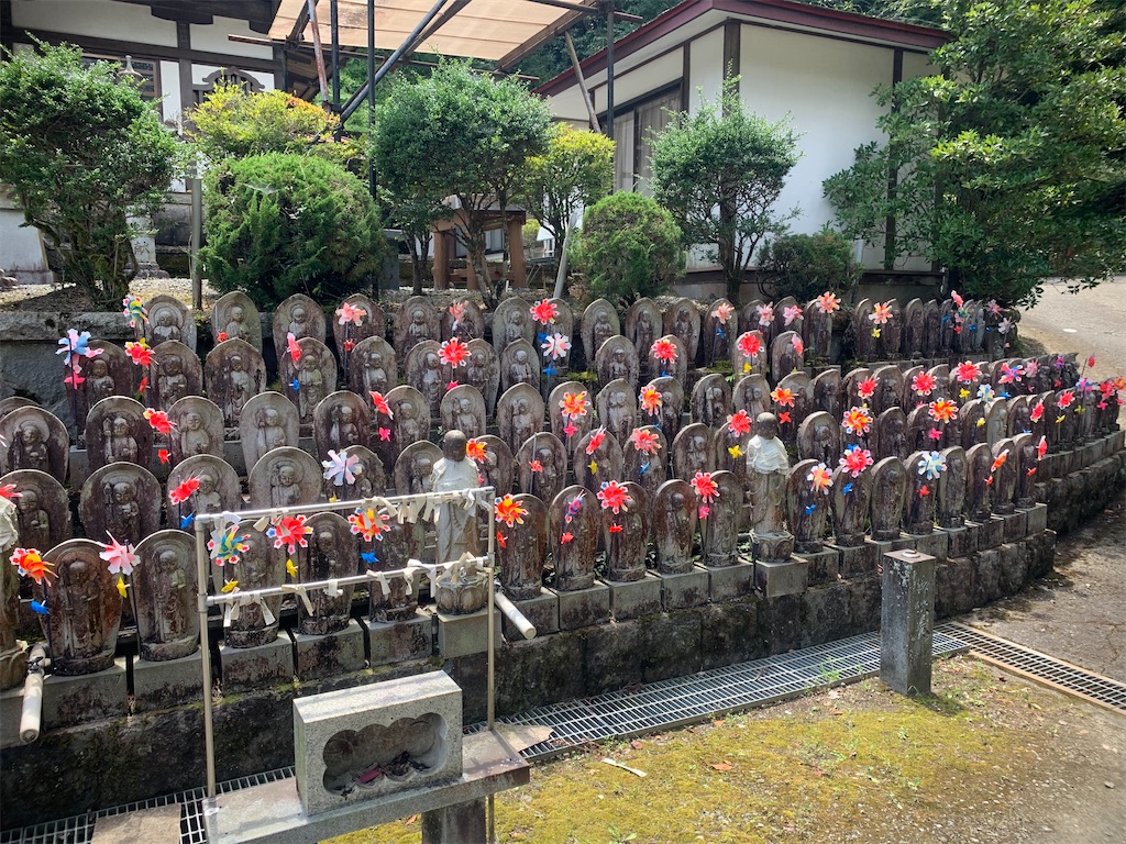 f:id:kabutara:20210809164746j:image f:id:kabutara:20210809164746j:image