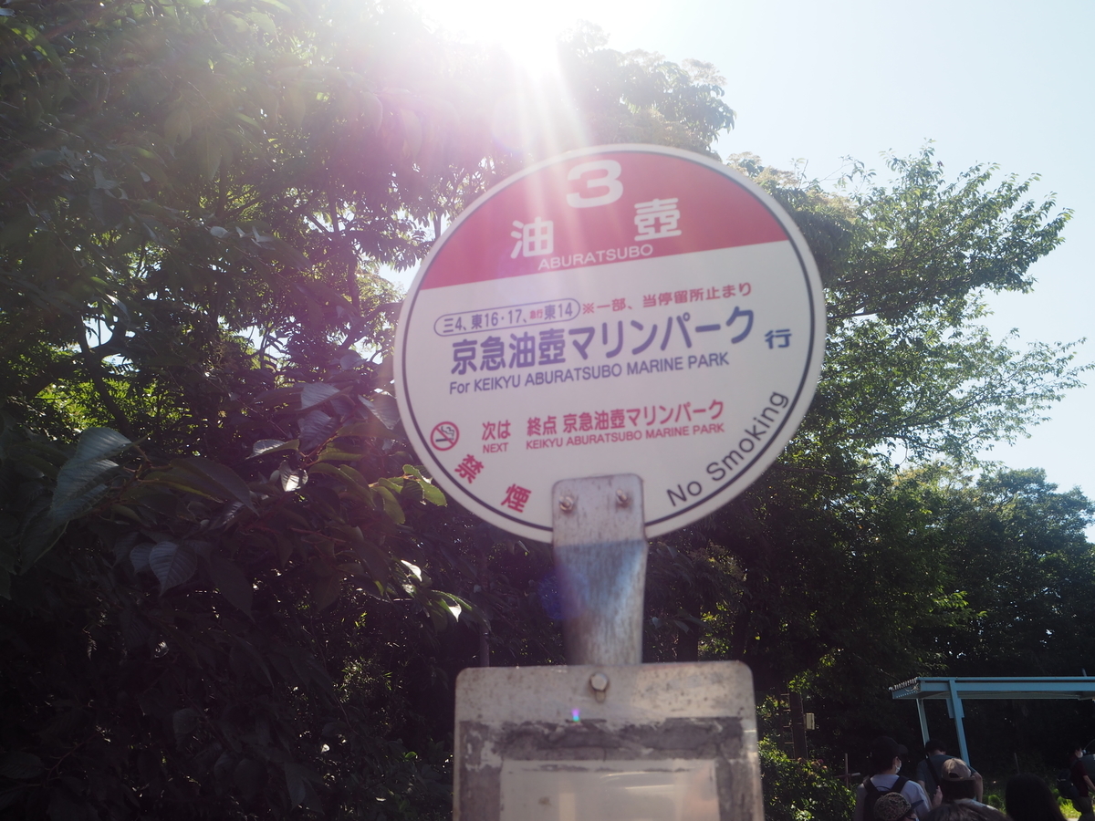 f:id:kabutara:20210814224036j:plain