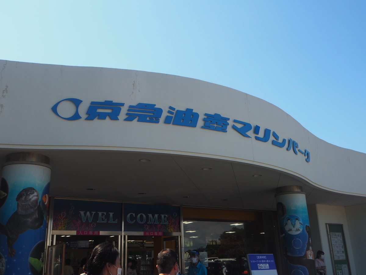 f:id:kabutara:20210814224406j:plain