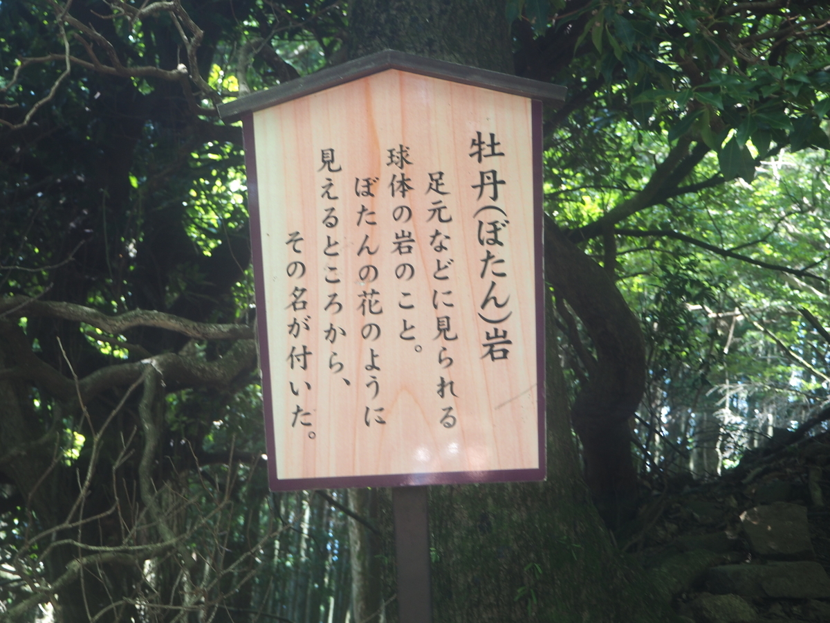 f:id:kabutara:20210823233512j:plain
