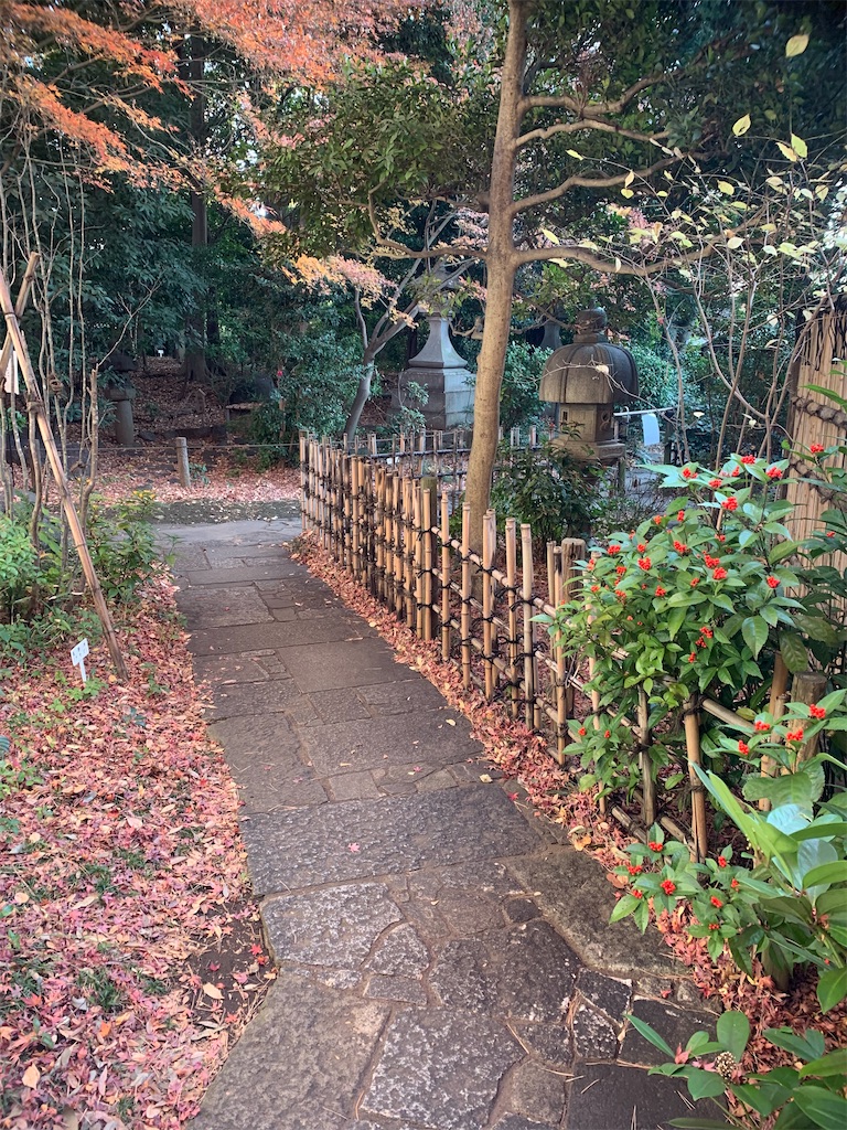 f:id:kabutara:20211205160644j:image