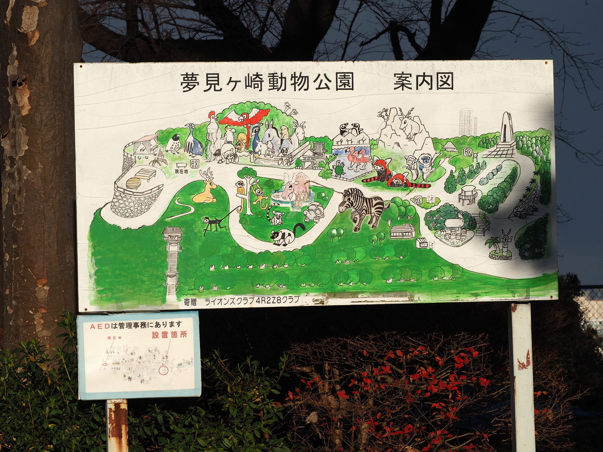 f:id:kabutara:20211231180414j:plain